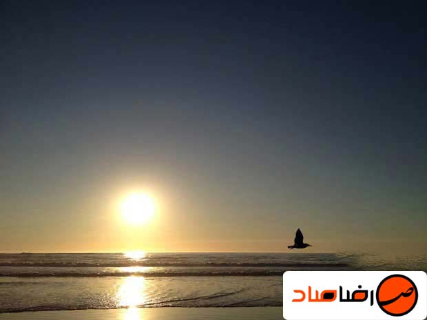 قانون یک سوم در عکاسی منظره