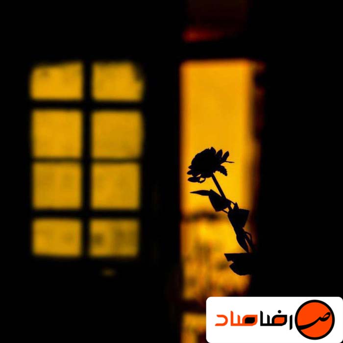 آموزش اصول عکاسی در فضای باز