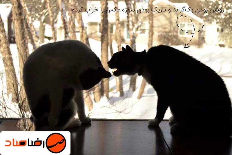 آموزش اصول عکاسی در فضای باز