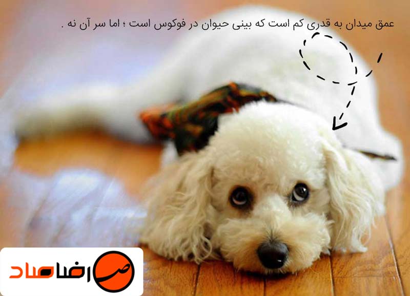 آموزش اصول عکاسی در فضای باز