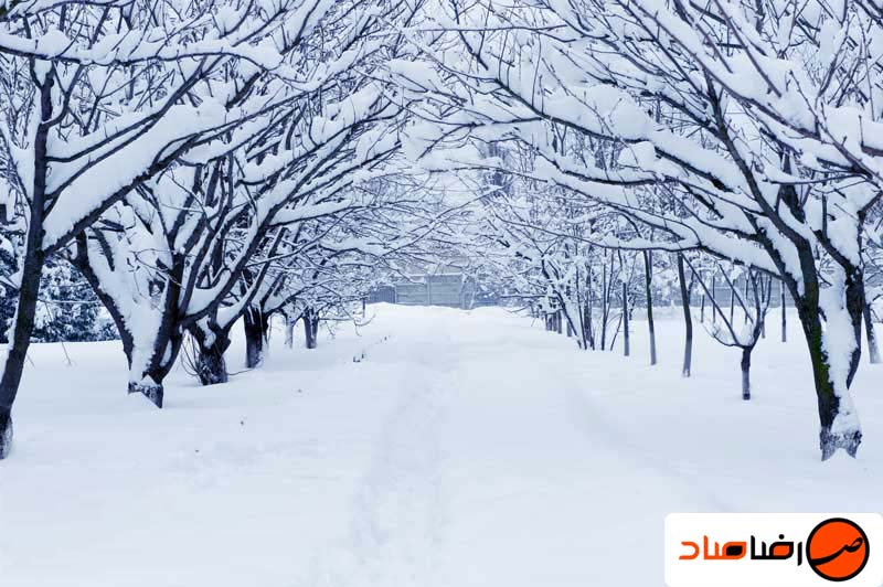 عکاسی در برف محیط